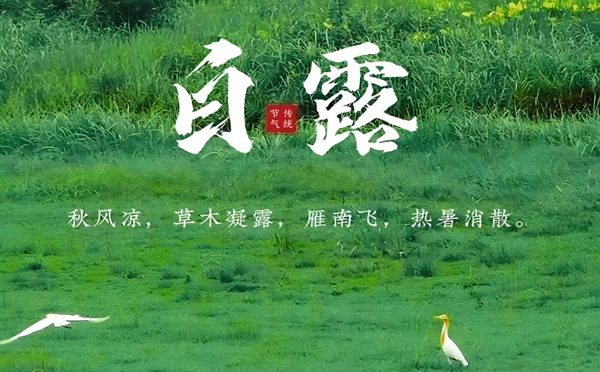 措美白露清新，新创洁与您共享洁净之美